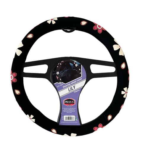 Praxis Mbrojtes i Timonit Lili 1 thumbnail 1