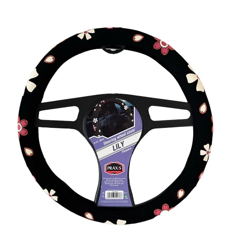 Praxis Mbrojtes i Timonit Lili 1